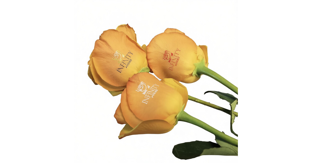 Personalized Roses Machine Speaking Rose Flower Printer & Printing Machine | GNFEI.COM