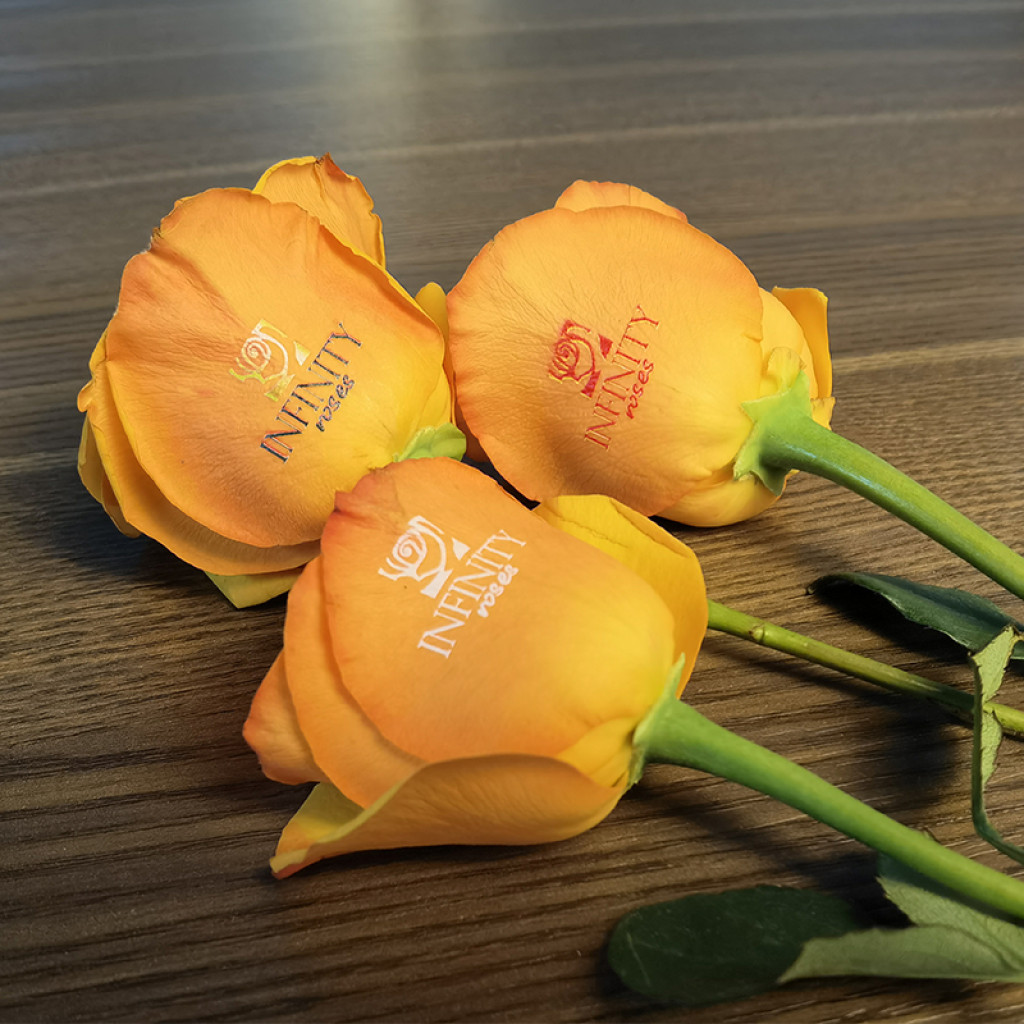 Personalized Roses Machine Speaking Rose Flower Printer & Printing Machine | GNFEI.COM