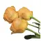 Impressora Rose Flower Imprimir logótipos em pétalas de rosas frescas
