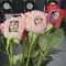 Impressora Rose Flower Imprimir logótipos em pétalas de rosas frescas