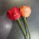 GNFEI F33FR rose flower printer printing custom logo on fresh red rose petal — factory direct