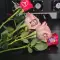 Impressora Rose Flower Imprimir logótipos em pétalas de rosas frescas