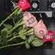 GNFEI F33FR rose flower printer printing custom logo on fresh red rose petal — factory direct