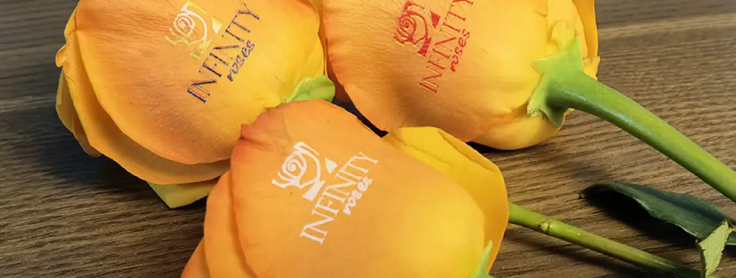Revolutionizing Floral Gifting with the Rose Flower Printer