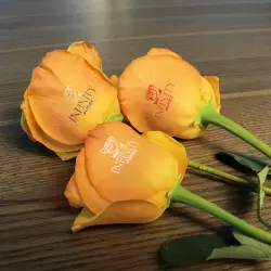 Multifunction Artificaial and Natural Flower Printer
