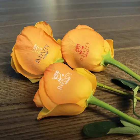 GNFEI F33FR rose flower printer printing custom logo on fresh red rose petal — factory direct