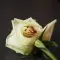 Impressora Rose Flower Imprimir logótipos em pétalas de rosas frescas