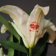 Multifunction Artificaial and Natural Flower Printer