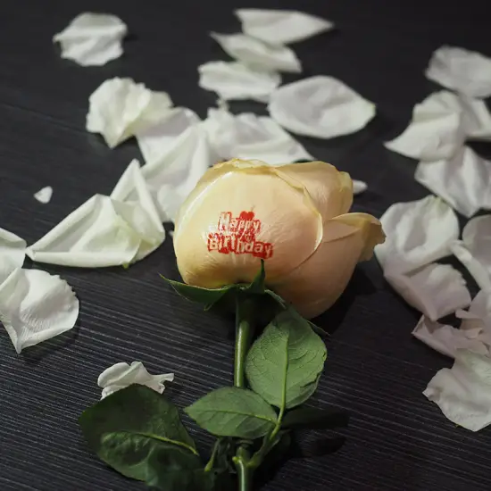 GNFEI F33FR rose flower printer printing custom logo on fresh red rose petal — factory direct