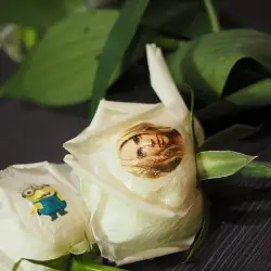 Speaking Flower Printer