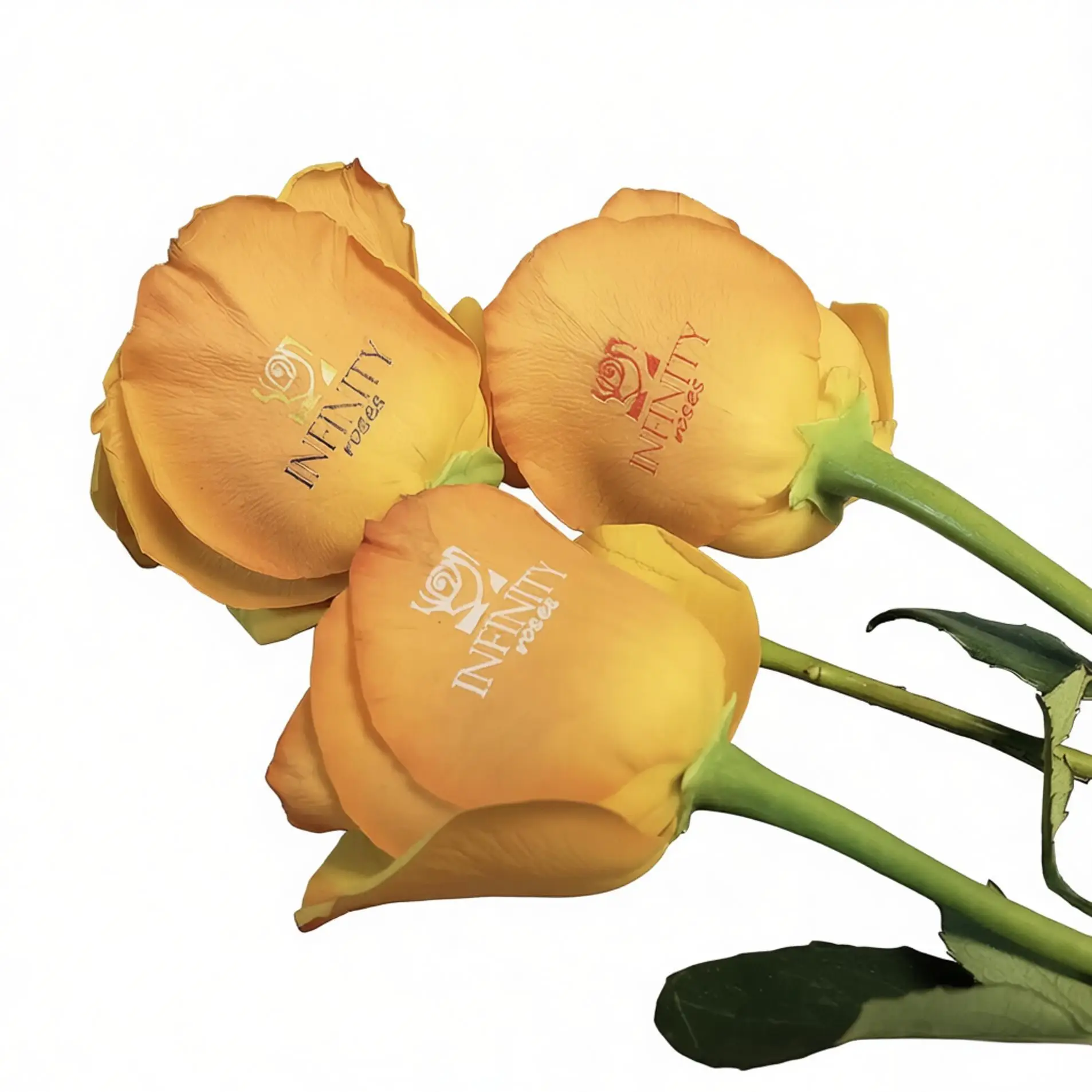 GNFEI F33FR Rose Flower Printer Machine