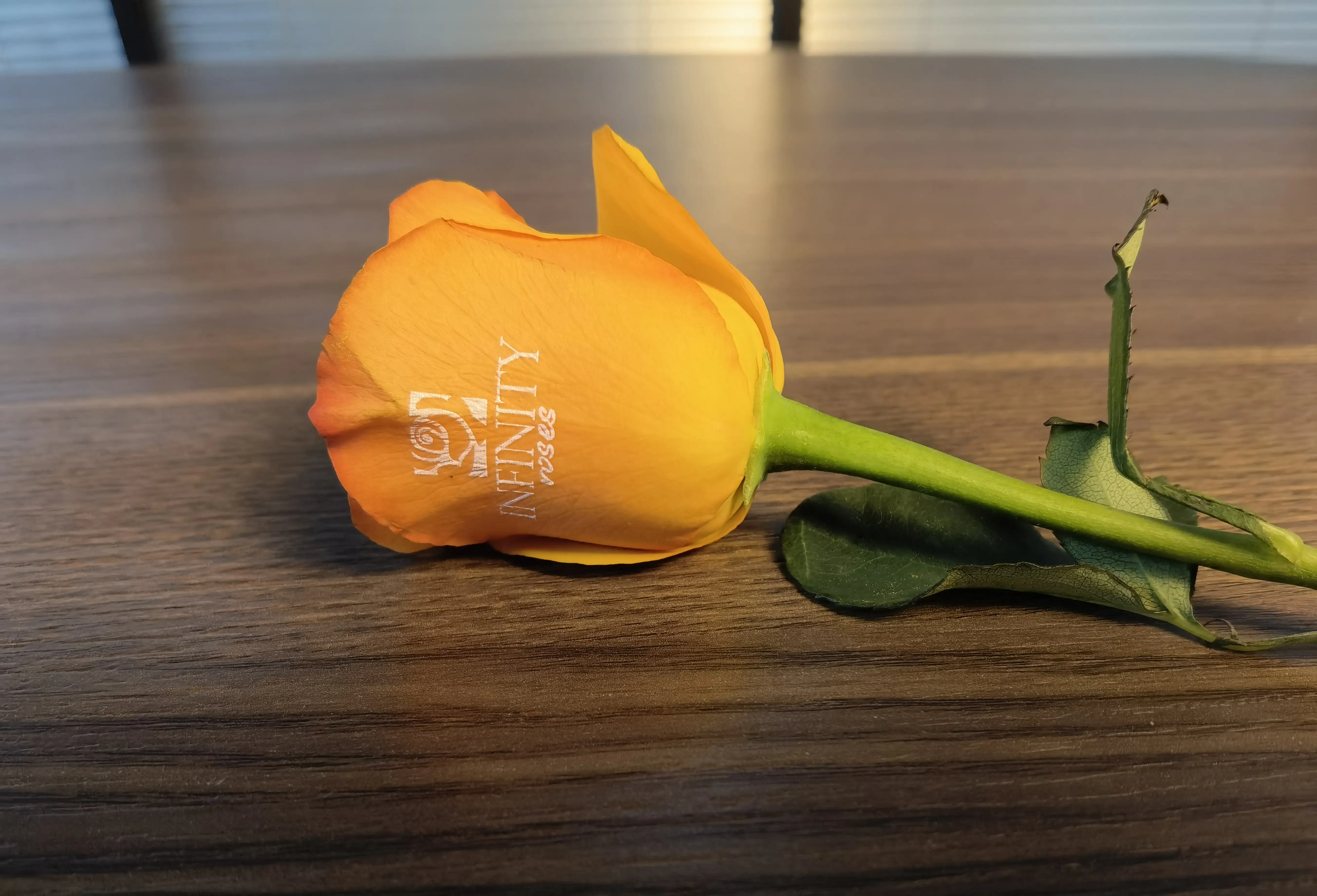 Rose petal photo print sample — GNFEI F33FR flower printer