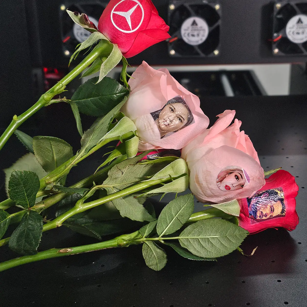 UV printhead detail on fresh petal