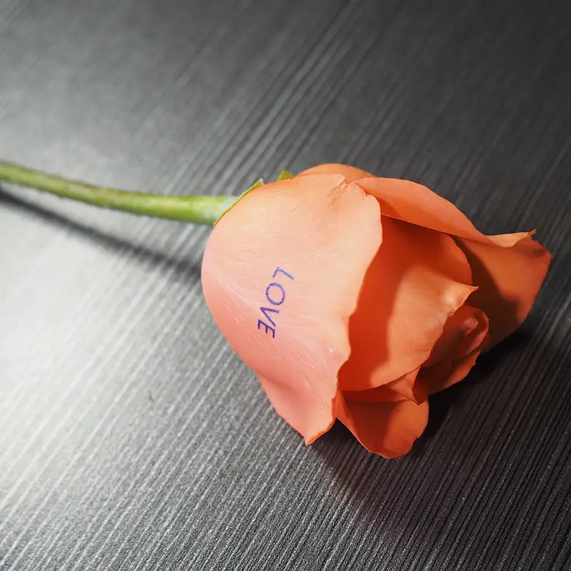 Wedding rose with photo print — custom floral printing