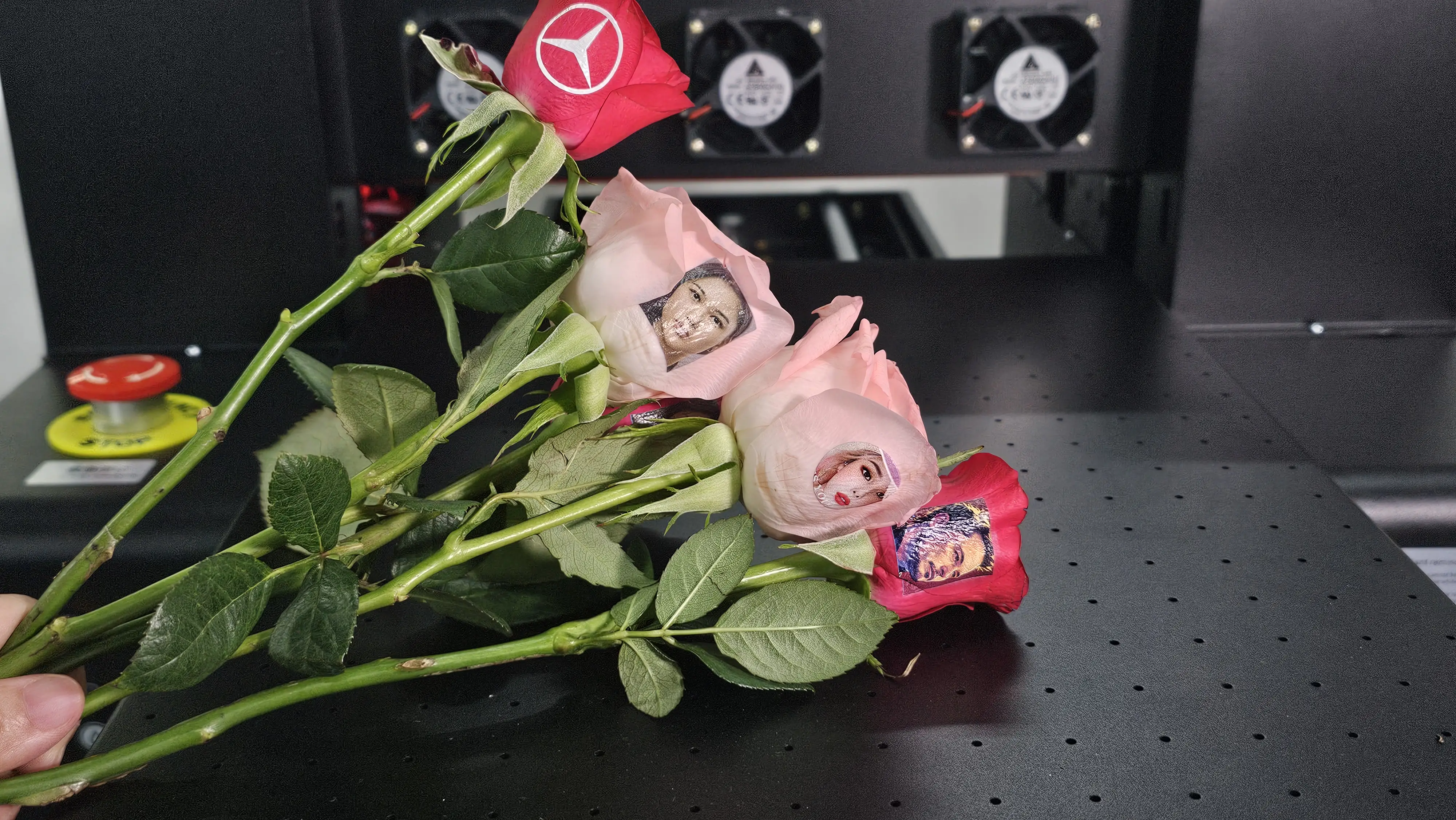 Custom rose petal printing — floral photo printer