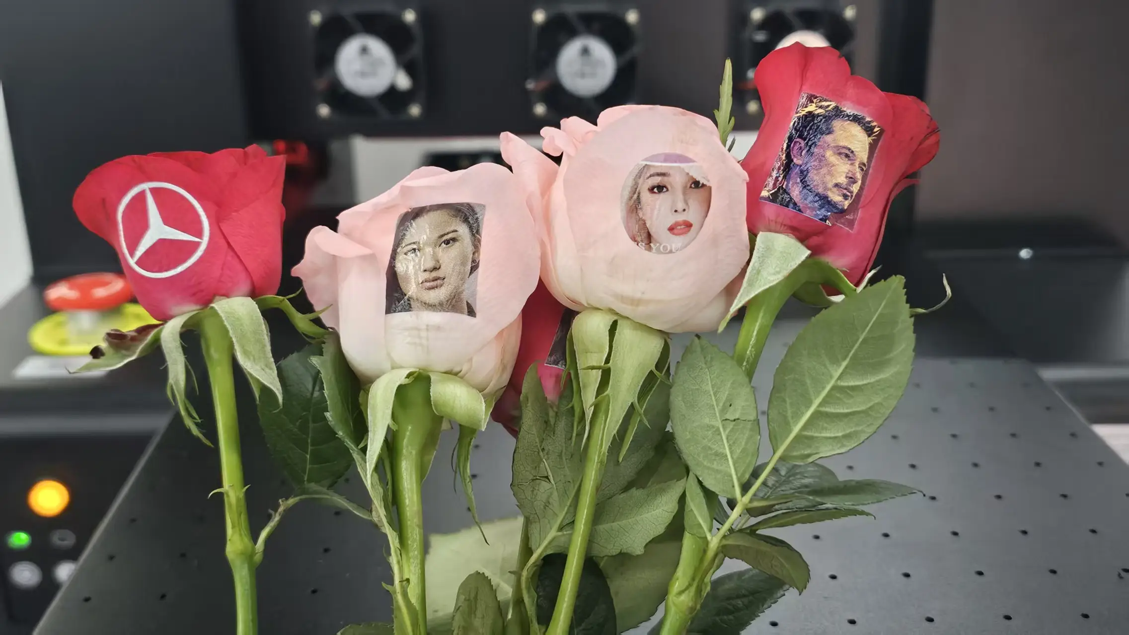 Photo on fresh rose — GNFEI flower printer output