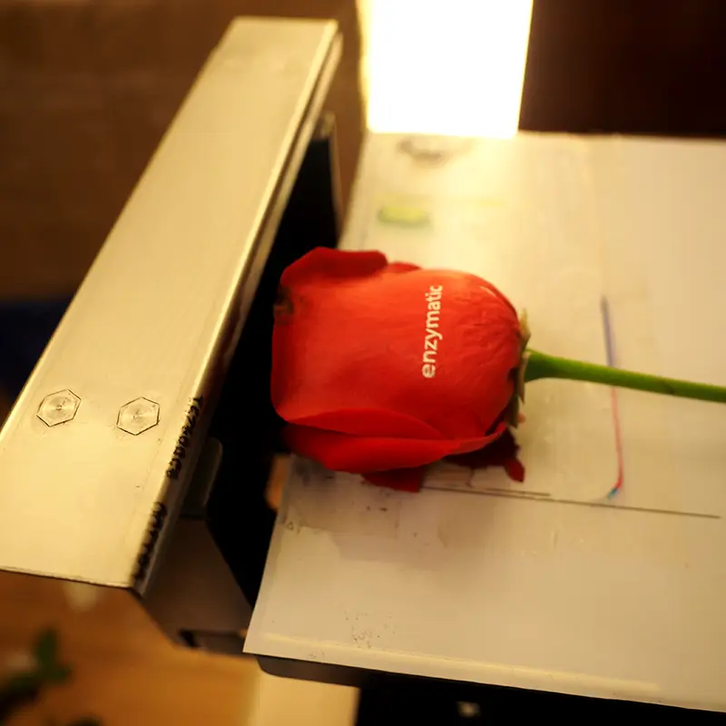 Custom rose photo print — floral printing service